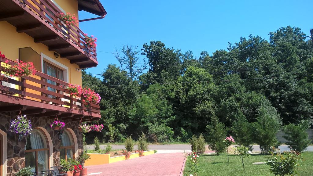 Allegra Băile Felix Exterior foto